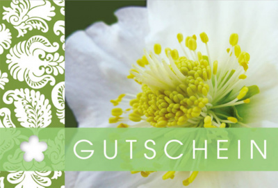 Gutschein Fleur Plus - Weisse Blumen