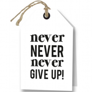 Never never never give up!