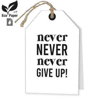 Never never never give up