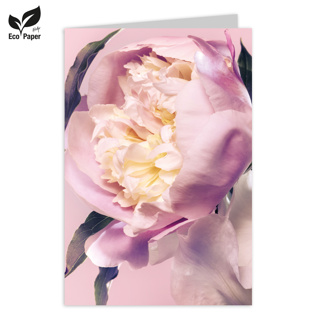 Blank: Eden peonies and irises - pink