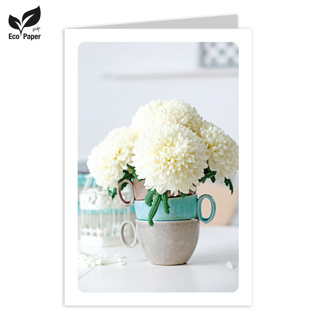 Blanco: Cosy white dahlia - cups