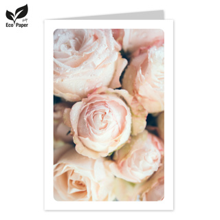 Blanco: Cosy pastel pink roses