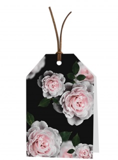Blanco: roze rozen