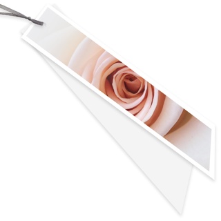 Blanco - Rose - ribbon