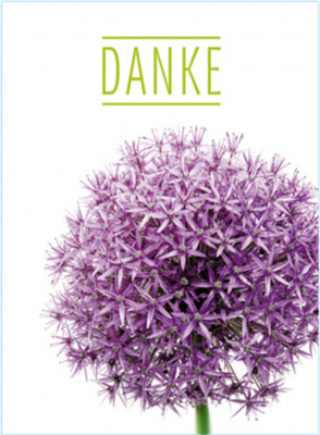 Floralia - Danke   -    Allium