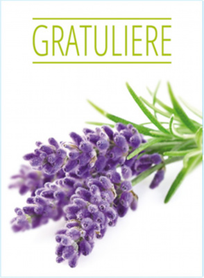 Floralia - Gratuliere   -   Lavendel