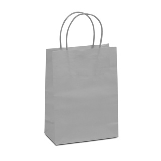 Twisted draag tas • Luxe • Medium • Bodem van karton • 18 x 24 x 7 cm • Zilver