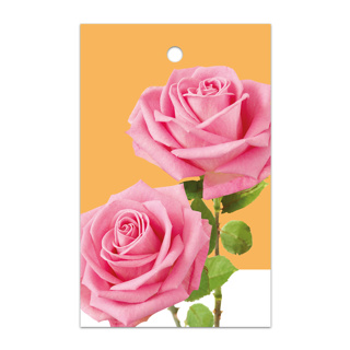 Blank: roses pink-orange