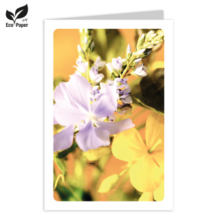 Blank: Eden spring flowers, bouquet - oker