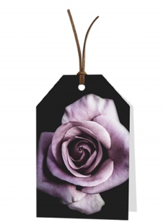 Blank: lila rose