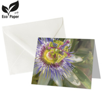 Blank: Passionflower - green