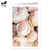 Blank: Cosy pastel pink roses
