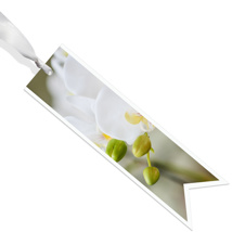 Condoleance ribbon - Blanco - White Orchid