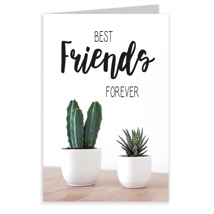 Urban Jungle - Best FRIENDS forever