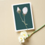 Blank: Estee White rose